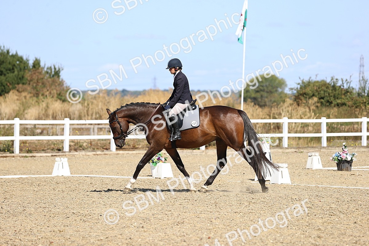 SBM_013203 - Class 2 - P5 Silver  10.03.10.59