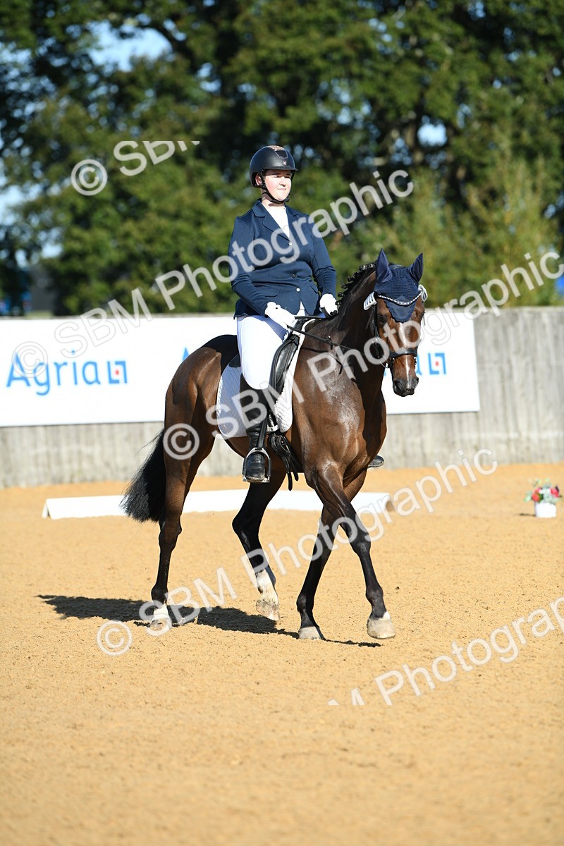 SBM_16139 - D4 - Small Tour Championship - Intro B