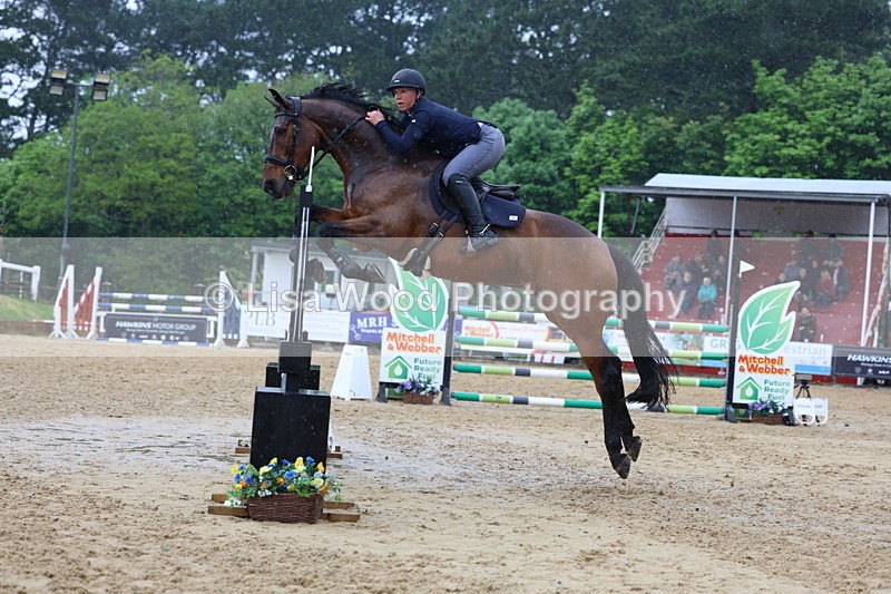 3E7A7492 - Class 8: Senior Foxhunter/1.20 open