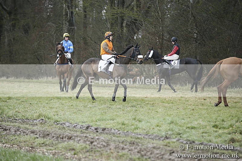 PtP 020418 -354 - Old Berks Point-to-Point Races Easter Monday 02/04/18