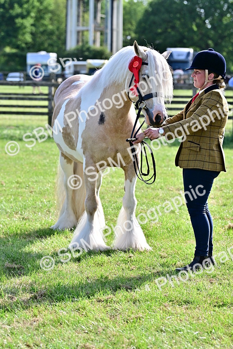 SBM_10152 - Class 63-65 - Traditional Gypsy Cobs In Hand & Ridden