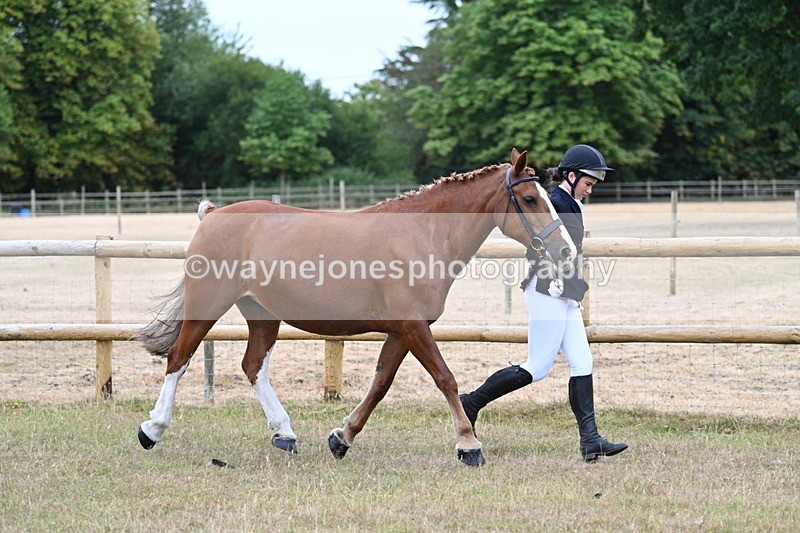 WJ7_8769 - Class 4a Prettiest Mare 14.2hh and over