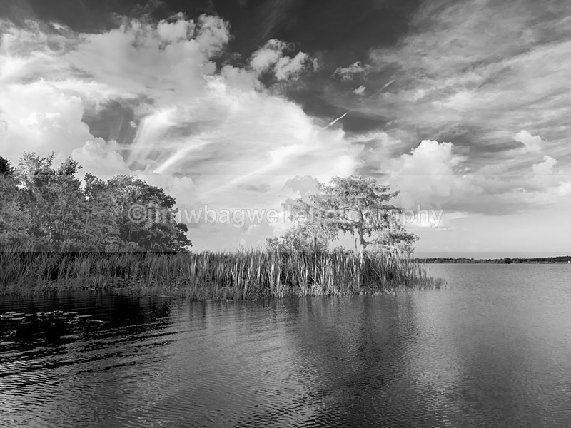 Cracker Cove Little Lake Harris Fl - The World Around Me