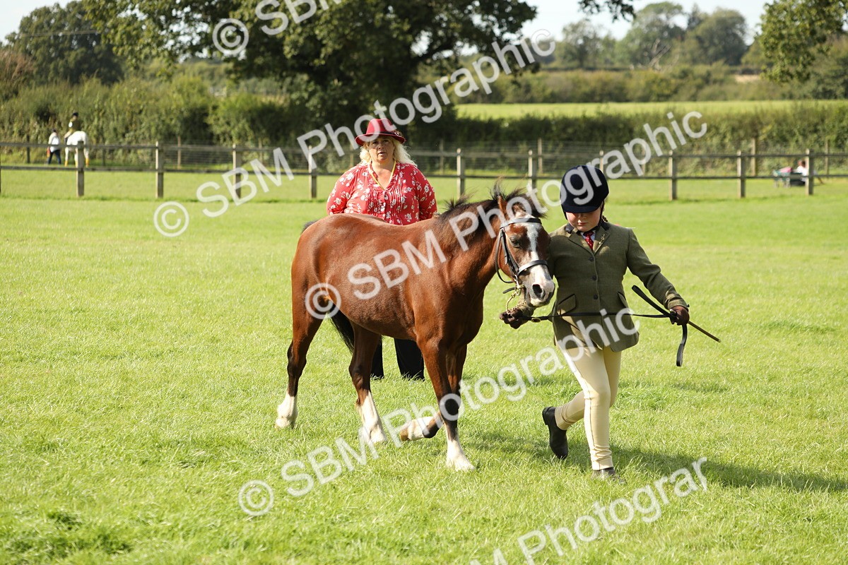 SBM_68607 - S40 - Junior Handler 9-12 Years