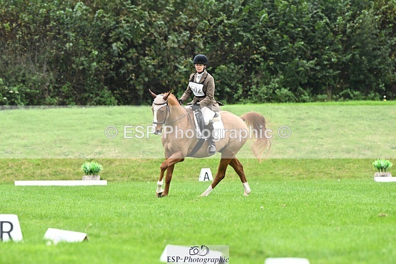 241024-105847-03106 - 502-Alison.Stewart-RICO.III