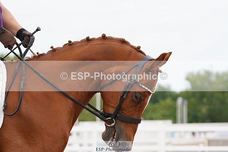 250621-112338-05824 - Quest Cls 13-17, Novice All