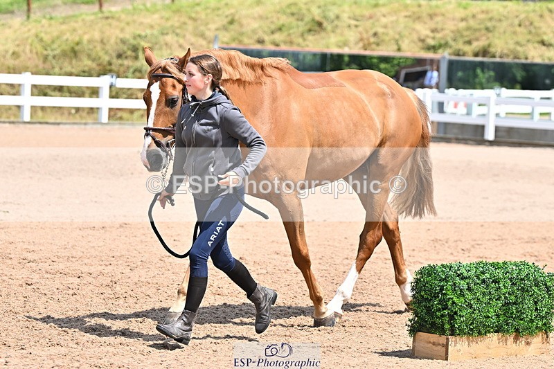 240718A-105315-01754 - Trot Up 1pm to 2pm