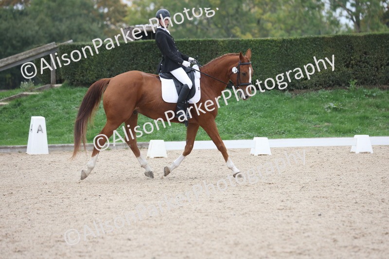 20251011-0567 - Class 7 - Elementary 2