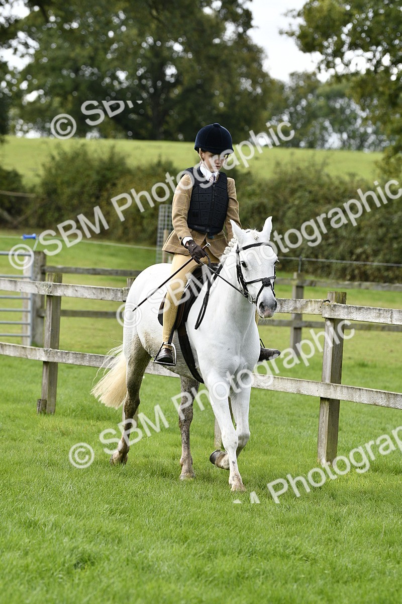 SBM_41602 - S32 - Mountain & Moorland Working Hunter Pony