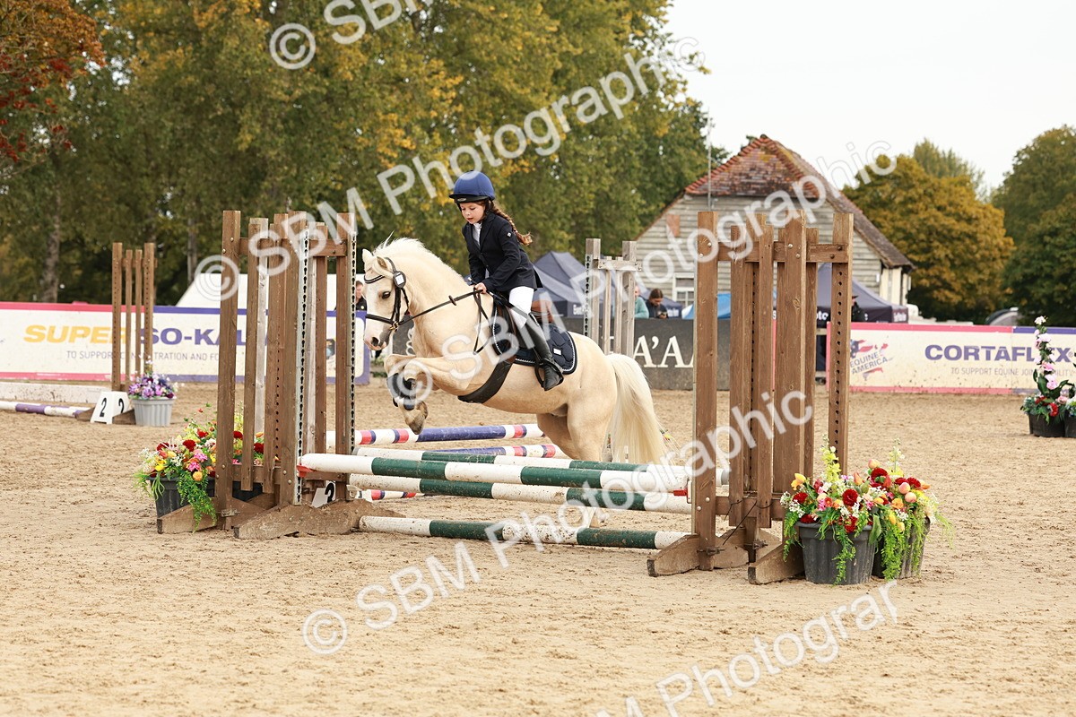 SBM_57668 - J11 - Junior Pony 50cm Championship