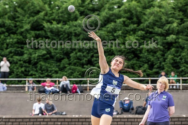 SIAB23-914242 - Field Female Set Two