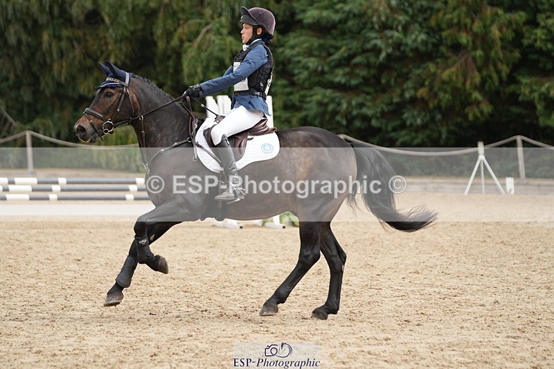 250824A-121435-35883 - 2053-Ava.Sampson-Chameleon