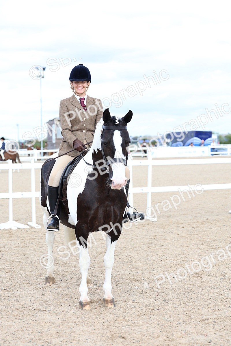 SBM_15817 - Class 314 - Family Horse - Pony