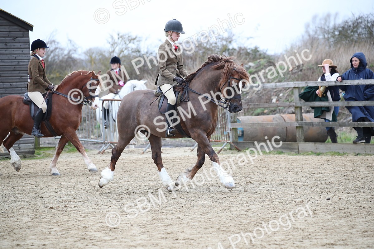 SBM_006299 - Class 10-13 - RIHS Small Large Breeds
