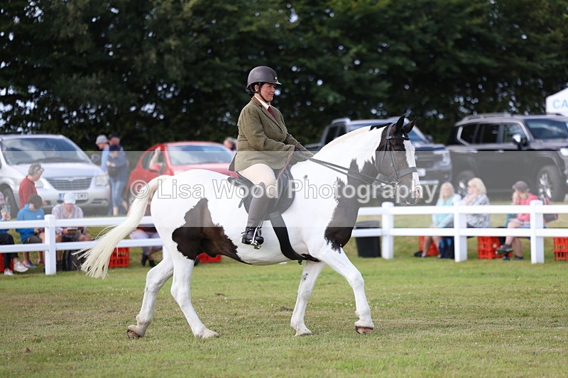 3E7A9614 - Class 5: Rising Star Lightweight/Heavyweight Cobs