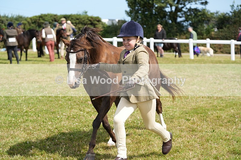 DSC05555 - Class 50: NPS M&M 4 years and over Small Breeds