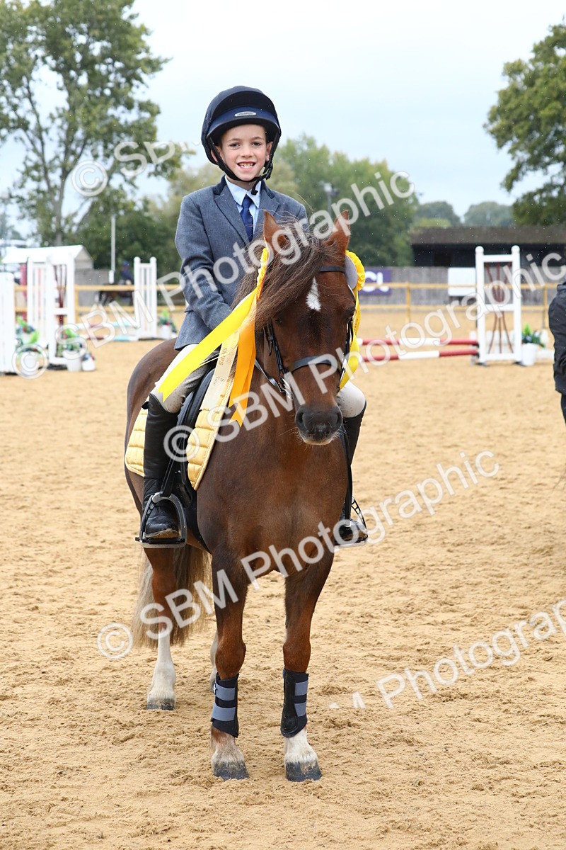SBM_72080 - J3b - Mini Tour Junior Pony 40cm Championship