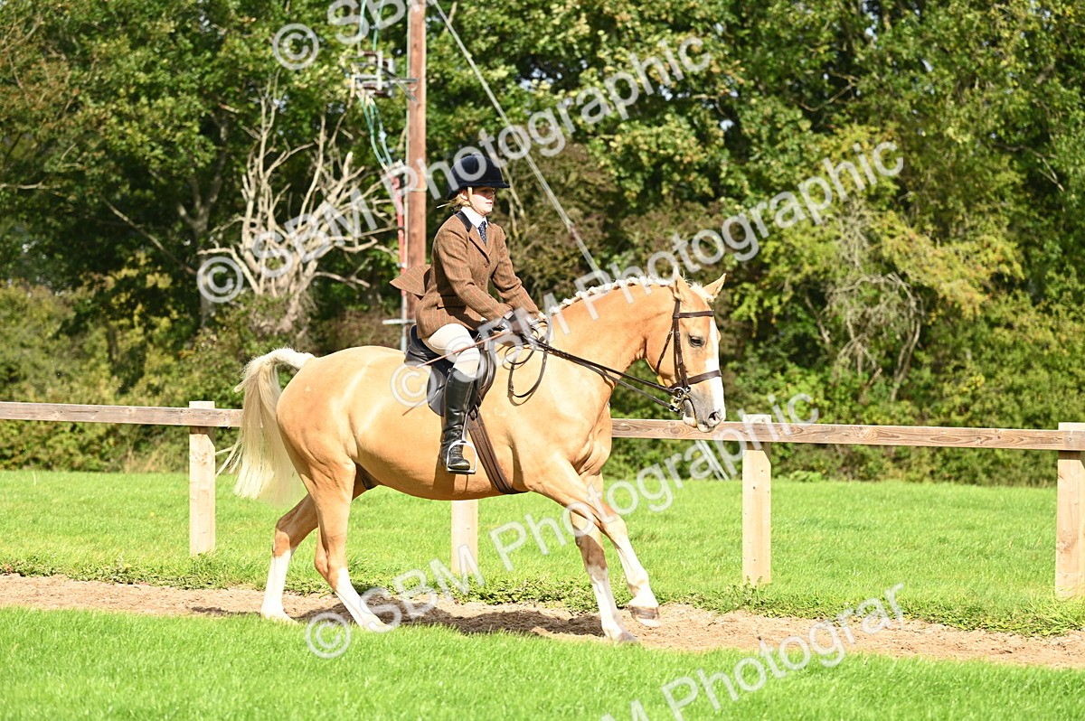 SBM_01734 - S2 - TSR Ridden Horse Showing