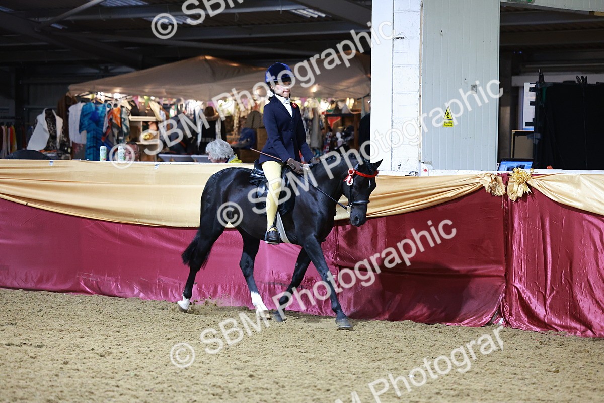 SBM_20901 - Class M - Equitation Champ