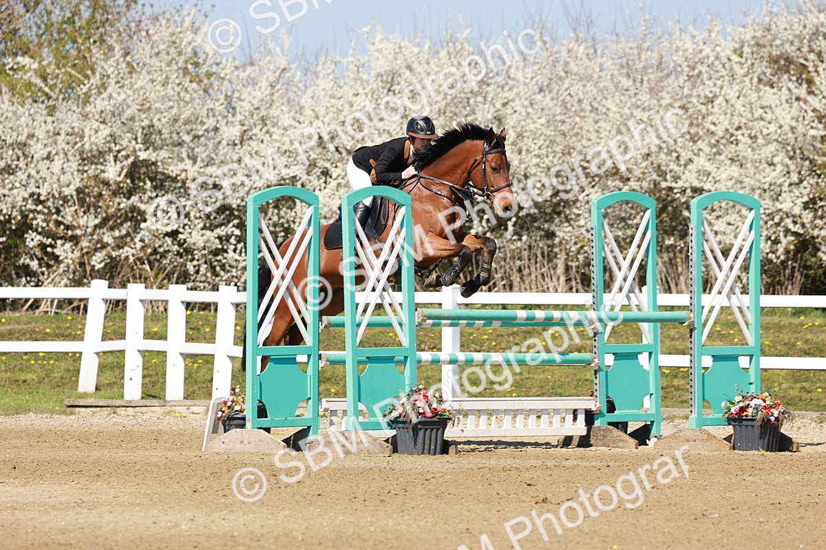 SBM_004305 - Class 17 - Senior Newcomers - 1.10m