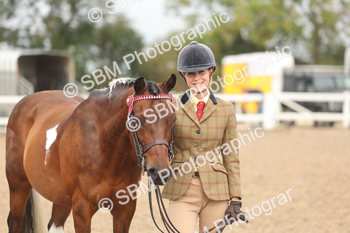 SBM_02108 - Class 15 - IH Coloured