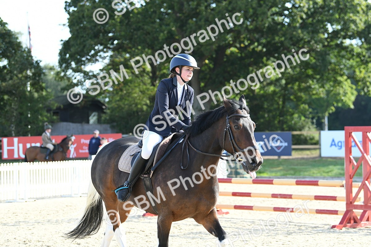 SBM_60531 - j25 - Junior Horse 80cm Championship