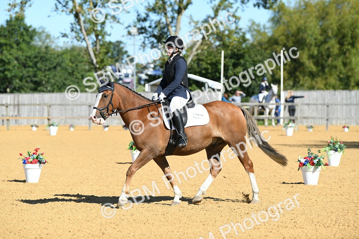 SBM_18138 - D4 - Small Tour Championship - Intro B