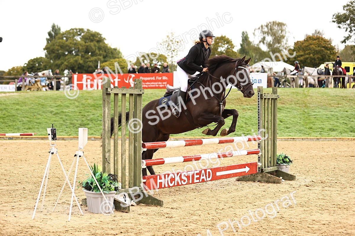 SBM_58468 - J41 - Grand Tour Horse & Pony 95cm