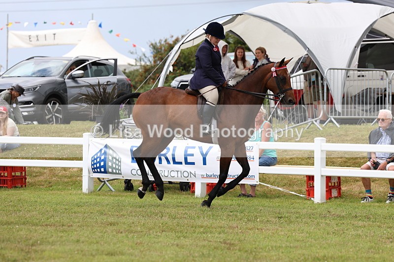 3E7A0891 - Class 8: Open Riding Horse/Hack