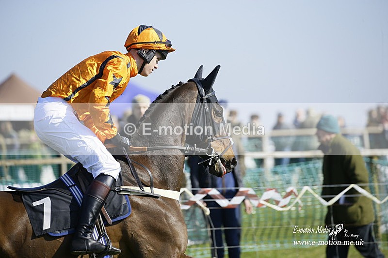 PtP 190322 480 - Wilton Hunt PtP Milborne St Andrew 19/03/22
