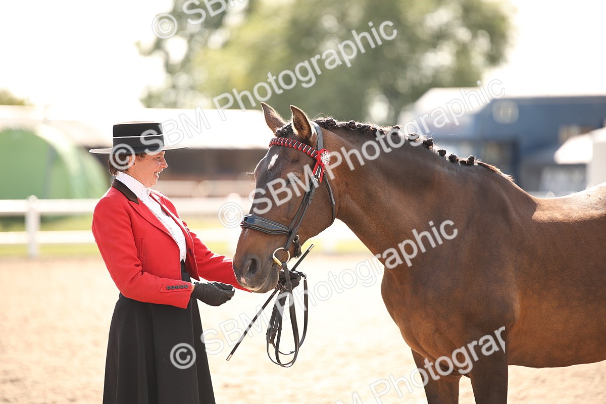 SBM_07421 - Class 26 IH Foreign Breeds -Part bred