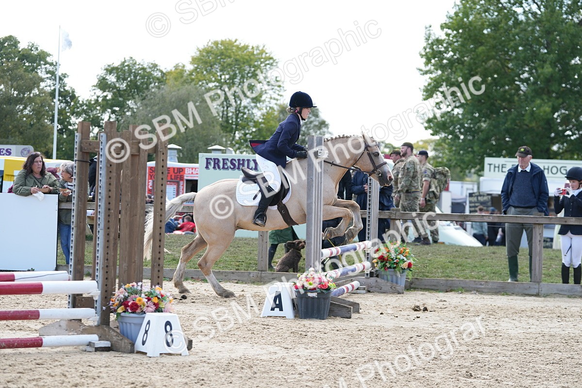 SBM_48500 - J7 - Junior Pony 60cm Championship