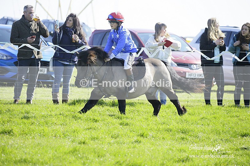 PtP 190322 89 - Wilton Hunt PtP Milborne St Andrew 19/03/22