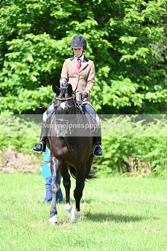 WJ7_1091 - Class 11 Condition & Turnout