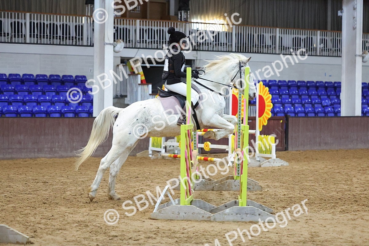 SBM_002102 - Class 5 - Show Jumping 80cm