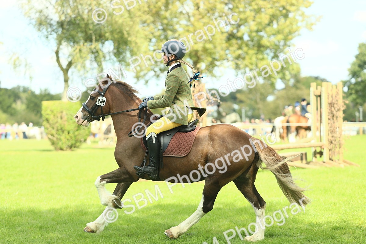 SBM_42844 - S30 - M&M Working hunter Pony