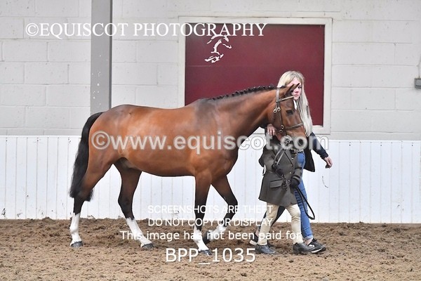 BPP_1035 - RING 1
