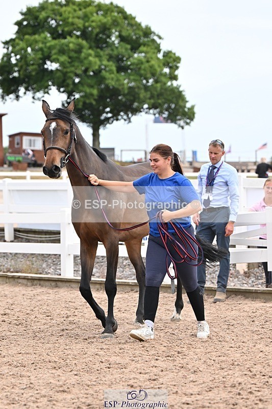 250716-151858-01865 - Trot Up 2.30 to 3.30
