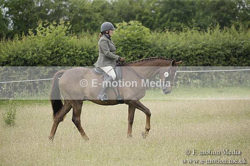 B230619-0343 - Bourne Valley Riding Club Summer Show 23/06/19
