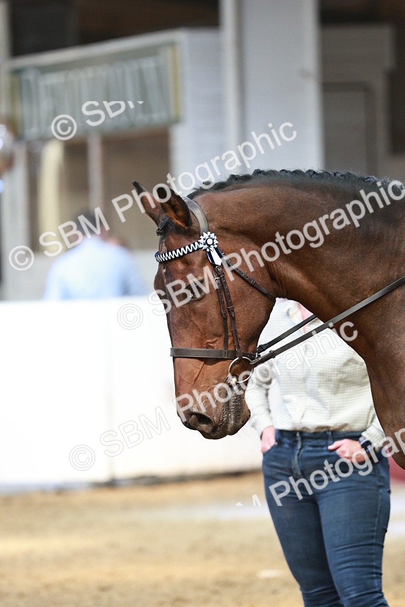 SBM_07048 - Class 10R - Regional Ridden Diamond