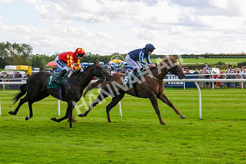 060824-Race 6-Golden Prosperity-3077 - Race 6