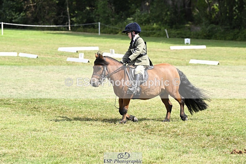 250822A-115642-22448 - DR 11.00 to 12.00