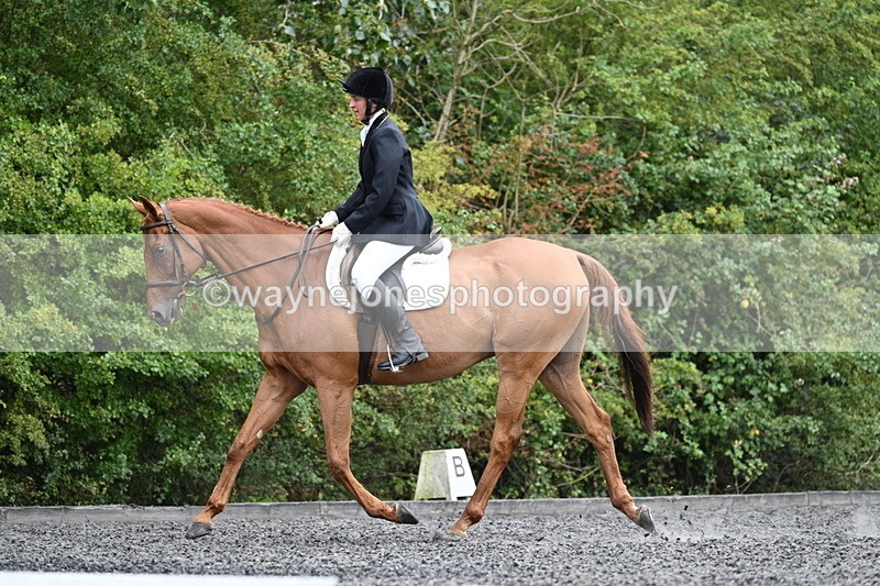 WJ7_7281 - Time 12:53 to 13:18