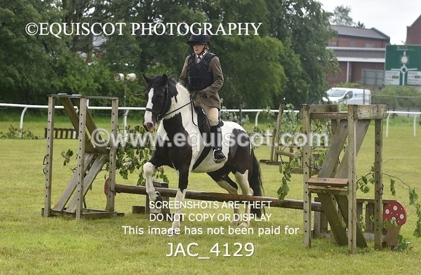 JAC_4129 - 40CM WORKING HUNTER