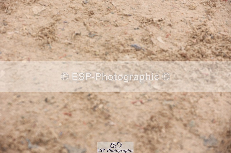 250717-142848-05992 - Cls 1, 3 Star Small Tour Start to Break