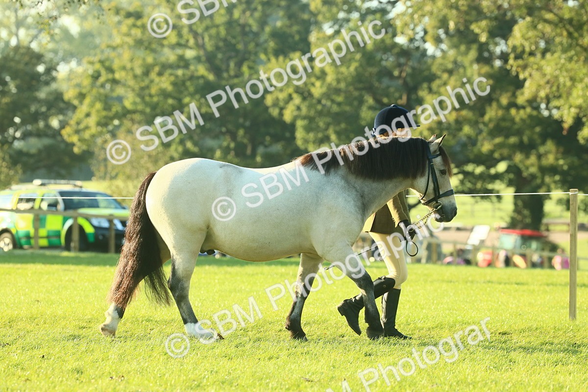 SBM_57301 - S37 - Starters In Hand Showing