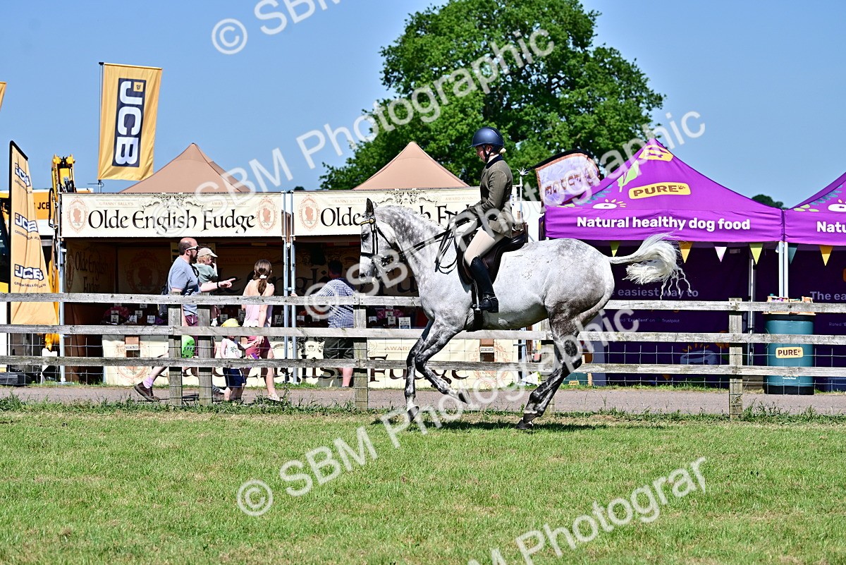 SBM_18275 - Class 99-100 - Retraining of Racehorses Ridden