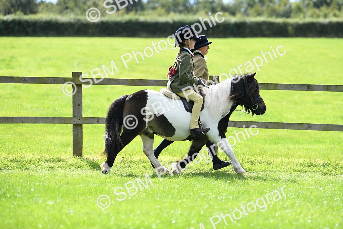 SBM_42520 - S20 - Lead Rein Mountain & Moorland Pony