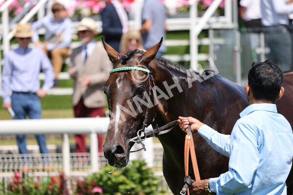 yr09072022r1-66 - Race 1 1.45pm John Smith's Racing Stakes
