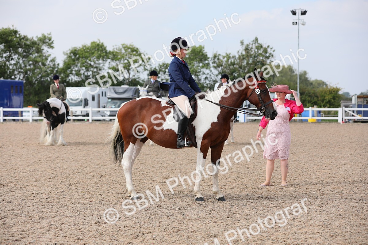 SBM_13444 - Class 308 Ridden Coloured Horse